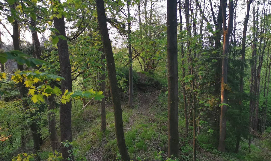 Zřícenina Hradu Vlčinec, Czech Republic (Czechia)
